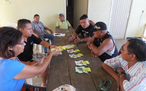 Traditional leaders using puzzle for discussing conservation priorities